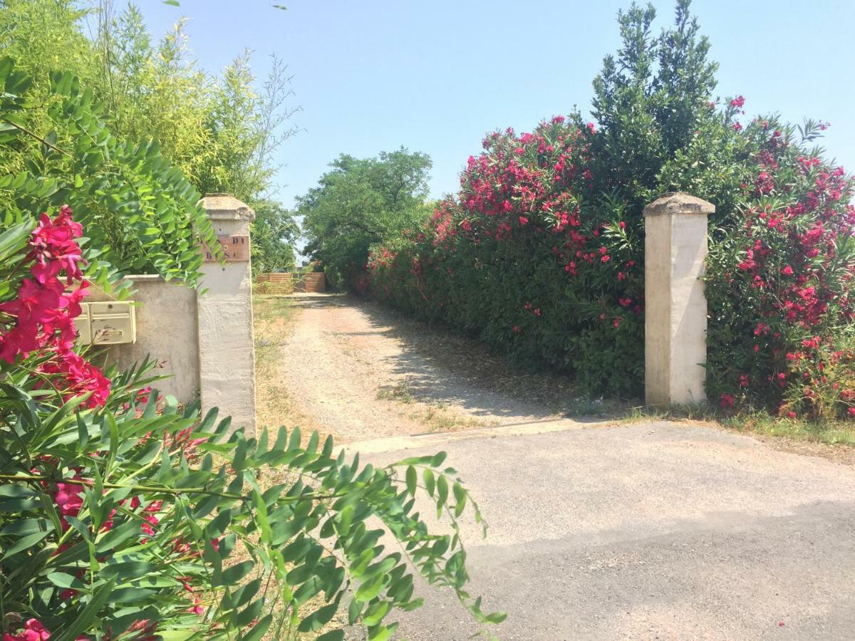Le Mas Du Bosc Daire Mauguio Dış mekan fotoğraf